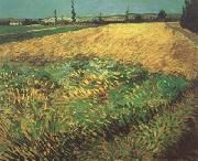 Vincent Van Gogh Wheat Field with the Alpilles Foothills in the Background (nn04) oil on canvas